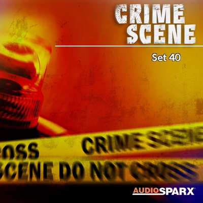 Scene of the Crime [DVD]