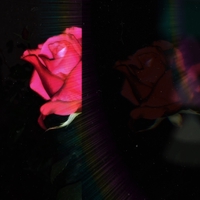 Butterfly (feat. baindali)” by YOSHIKI EZAKI - トラック Butterfly (feat. baindali)” by YOSHIKI EZAKI - トラック