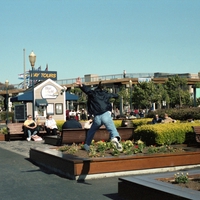 サニーデイ・サービス - アルバム・トラック情報 | AWA