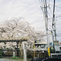 sori sawada『振り返って』 sori sawada『振り返って』