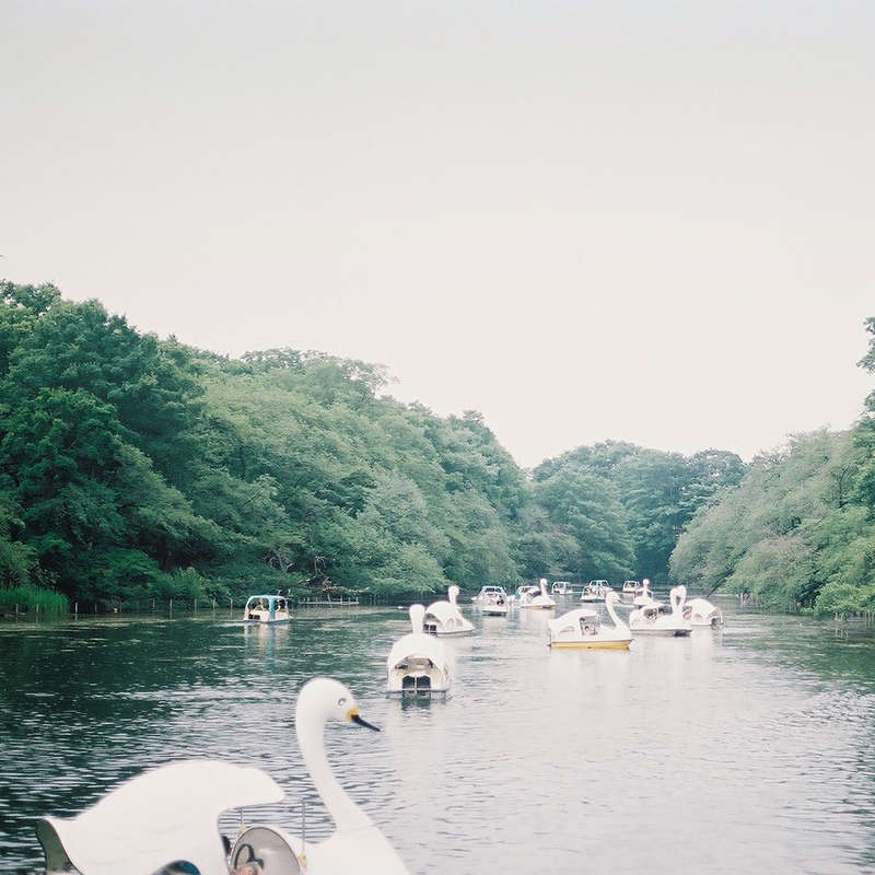 残暑見舞い” by 工藤祐次郎 - トラック・歌詞情報 | AWA