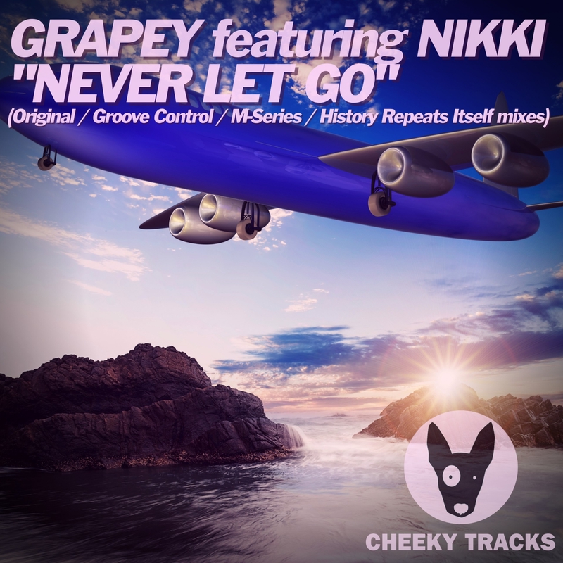 Never Let Go History Repeats Itself Remix Feat Nikki By Grapey トラック 歌詞情報 Awa